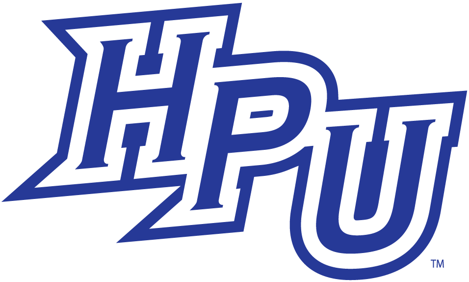 High Point Panthers 2004-2011 Alternate Logo t shirts iron on transfers v5